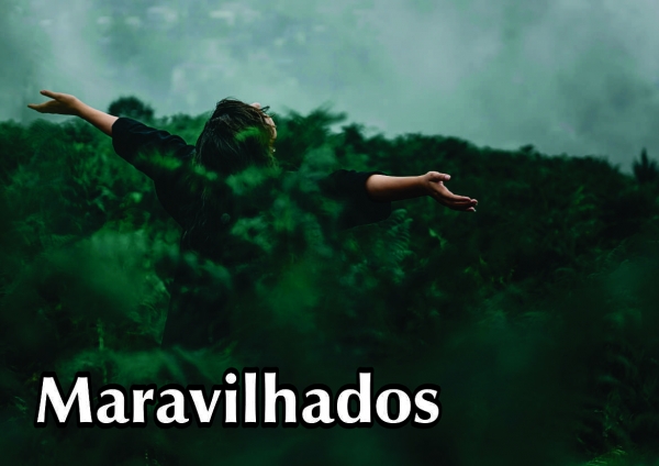 Artigo - Maravilhados